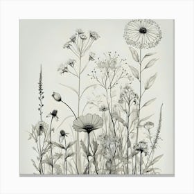 Wildflowers 1 Canvas Print