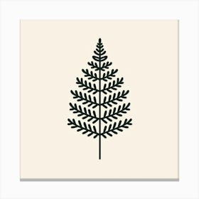 Leafs of Fern, Vector art 2 Canvas Print