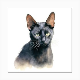 Bombay Sable Cat Portrait 1 Canvas Print