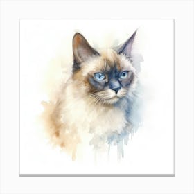 Chinese Li Hua Cat Portrait 1 Canvas Print