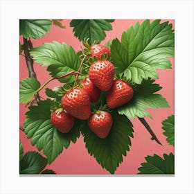 Strawberries On A Branch Canvas Print