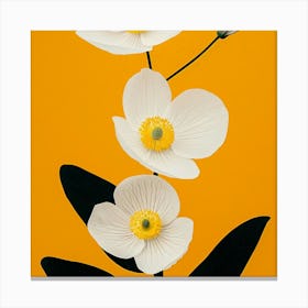 White Flowers Canvas Print