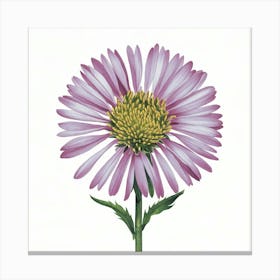 Dahlia Canvas Print