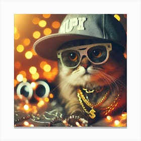 Hip Hop Cat Canvas Print