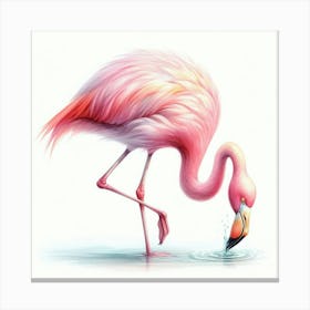 Pink Flamingo 5 Canvas Print