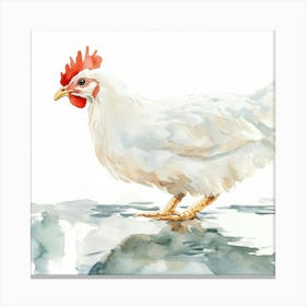 Rooster Watercolor Painting Canvas Print