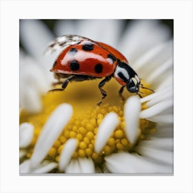 Ladybug On A Daisy Canvas Print