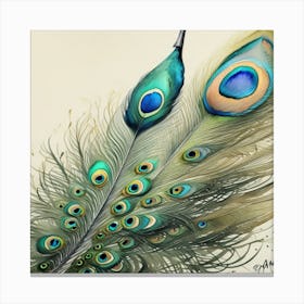 Peacock Feathers water color  Canvas Print
