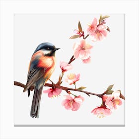 Cherry Blossoms Canvas Print