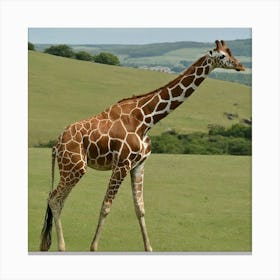 Giraffe 2 Canvas Print