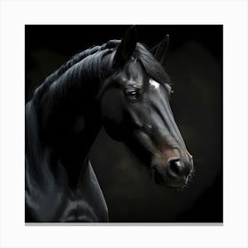 Black Horse Portrait Canvas Print