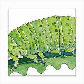 Caterpillar Canvas Print