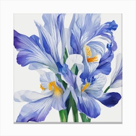 Blue Iris Canvas Print