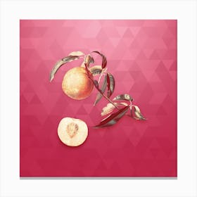 Vintage Peach Botanical in Gold on Viva Magenta n.0793 Canvas Print