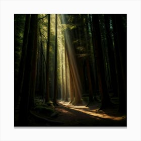 Light In The Forest Canvas Print