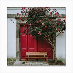 Red Door Canvas Print