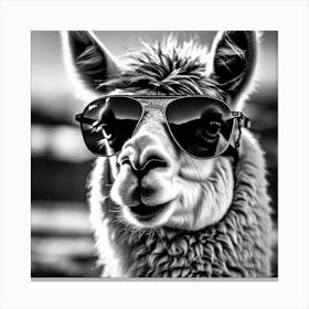 Llama In Sunglasses 4 Canvas Print