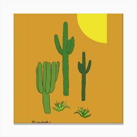 Cactus Marrakesh Canvas Print