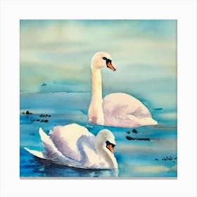 Swans In The Water Canvas Print