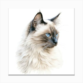 Colourpoint Cat Portrait Canvas Print