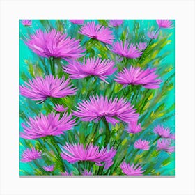 Aster Flowers 17 Canvas Print