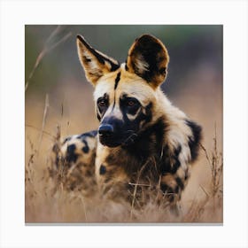 Wild Dog 2 Canvas Print