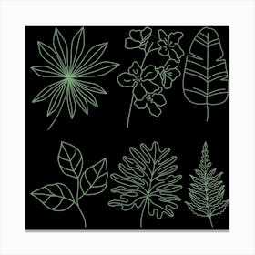 Leaf Set Vector Illustration Canvas Print