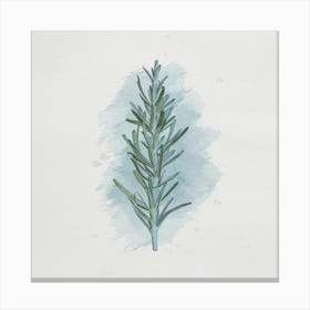 Watercolor Rosemary Sprig Canvas Print