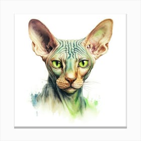 Don Sphynx Green Eyed Cat Portrait Canvas Print