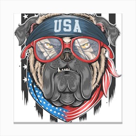 American Bulldog Canvas Print