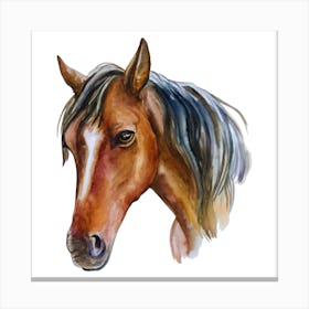 Watercolor Horse Head.uk Canvas Print