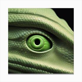 Eye Of A Lizard Canvas Print