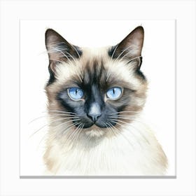 Snowshoe Cat Portrait 3 Canvas Print