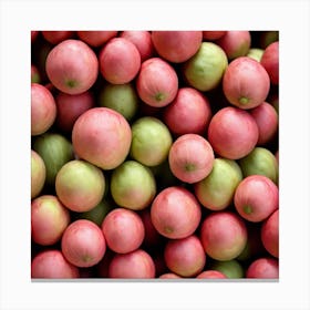 Ripe Mangoes Canvas Print