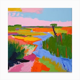 Colourful Abstract Everglades National Park Usa 4 Canvas Print