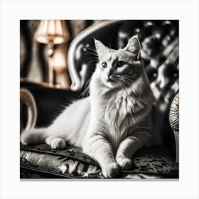 White Cat On A Chair Canvas Print