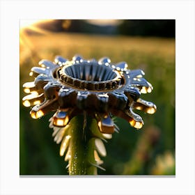 Sunflower At Sunset Canvas Print