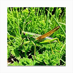 Grasshoppers Insects Jumping Green Legs Antennae Hopper Chirping Herbivores Garden Fields (13) Canvas Print