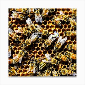 Bees Insects Pollinators Honey Hive Queen Worker Drone Nectar Pollen Colony Honeycomb St (8) Canvas Print