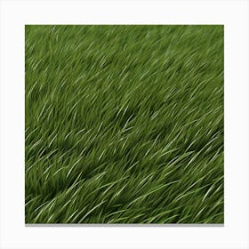 Green Grass 48 Canvas Print