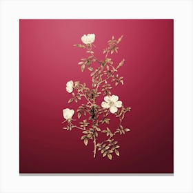 Gold Botanical Hedge Rose on Viva Magenta n.2053 Canvas Print