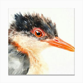 Kingfisher Watercolor Canvas Print