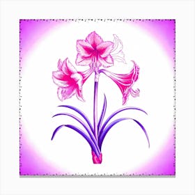 Amaryllis 2 Canvas Print