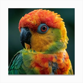 Colorful Parrot 22 Canvas Print