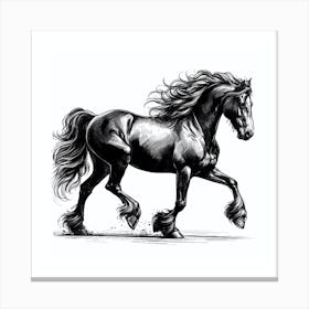 Horse Galloping 2 Canvas Print