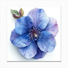 Blue Clematis Flower Canvas Print