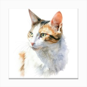 Oriental Bicolour Cat Portrait 2 Canvas Print