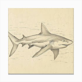 Lemon Shark Vintage Illustration 1 Canvas Print
