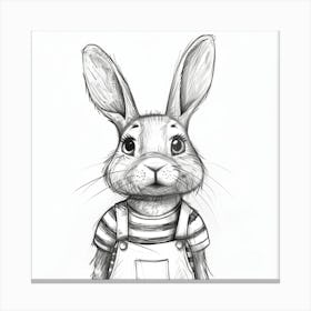 Rabbit Drawing Canvas Print