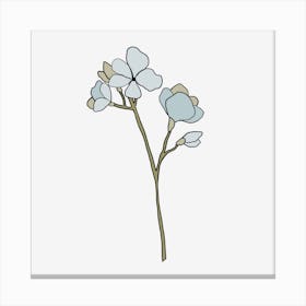 White Flowers On A Black Background Canvas Print